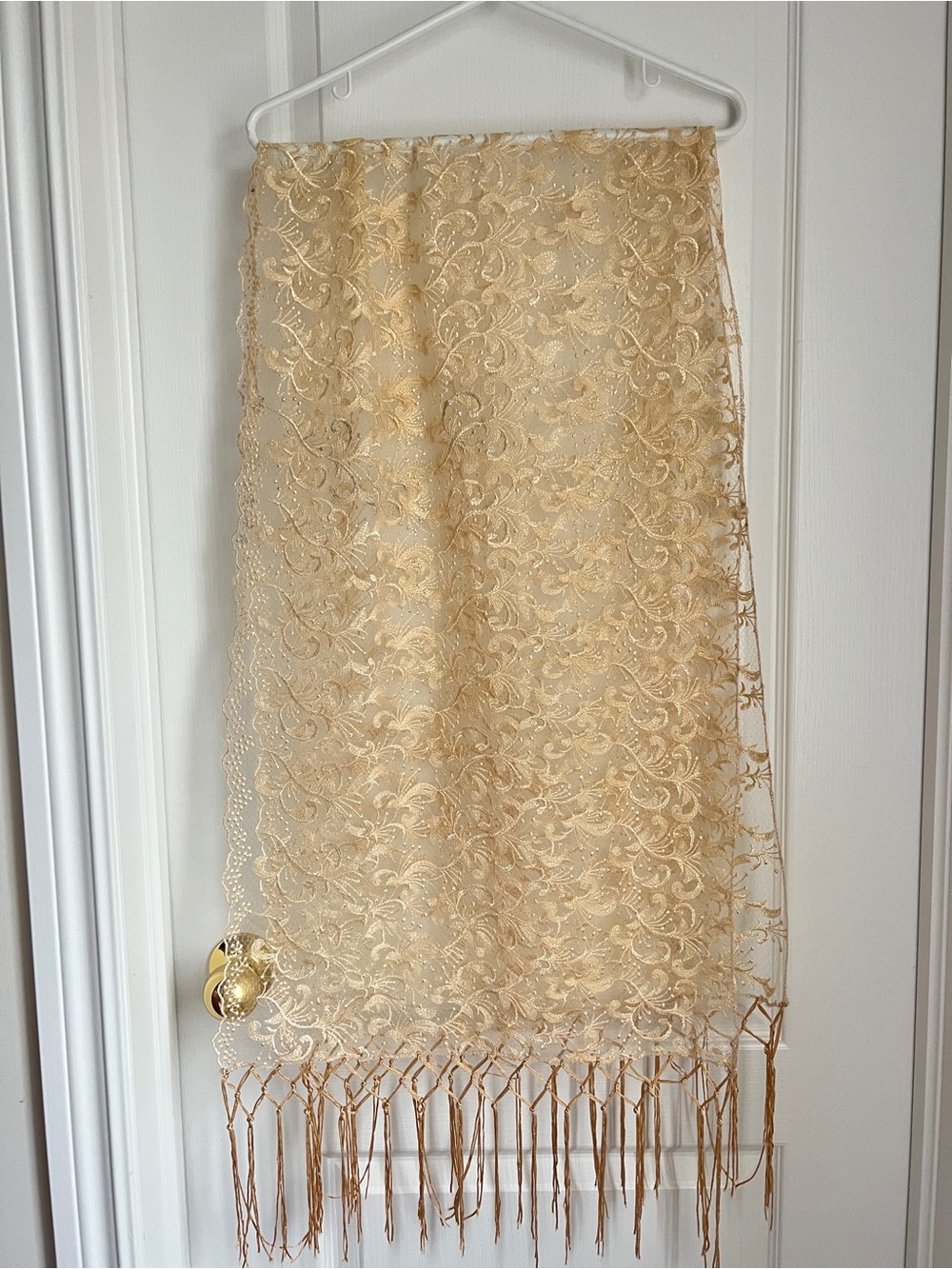 Elegant Cream Lace Fringe Skirt